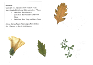 bildschirmfoto-2016-10-19-um-15-37-31